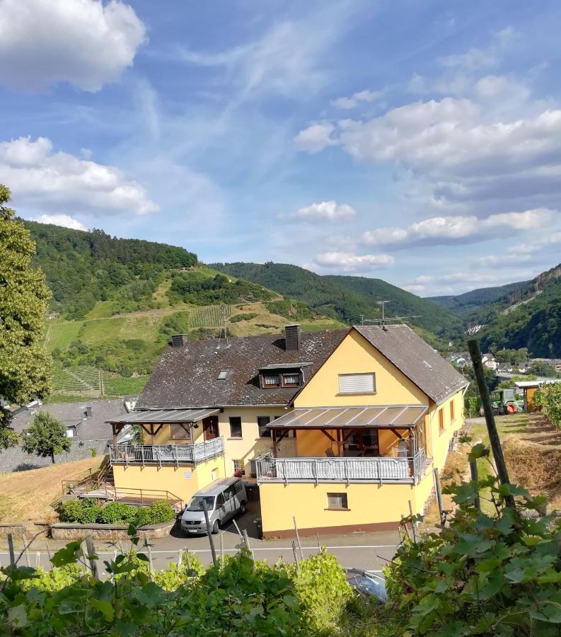 Die Ferienwohnung Lindenhof Zell an der Mosel Ngoại thất bức ảnh